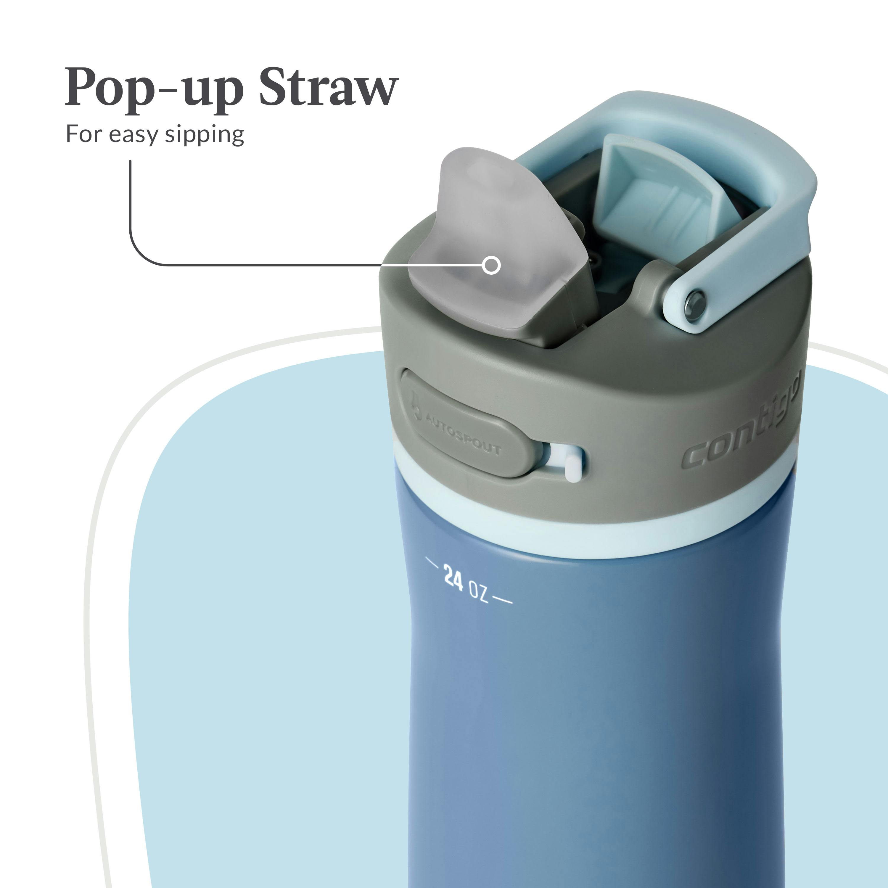 Wells Chill Stainless Steel Filter Water Bottle with AUTOSPOUT Straw Lid and Replacement Filter, 24 Oz