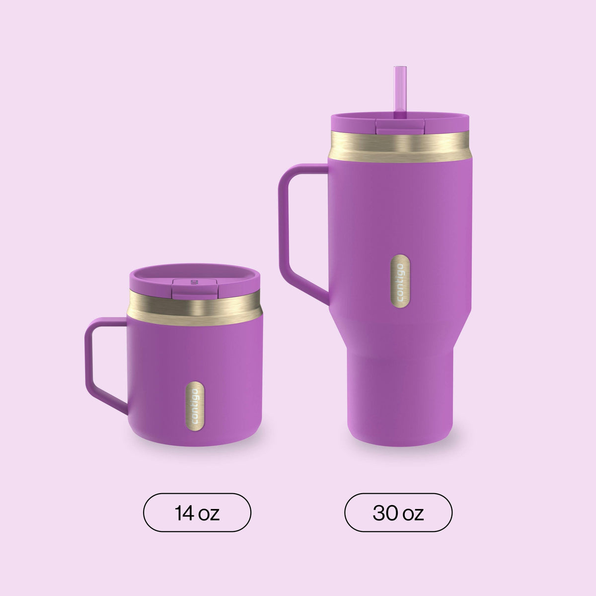 30 oz SnapSeal Tumbler (w/ Straw & Handle)
