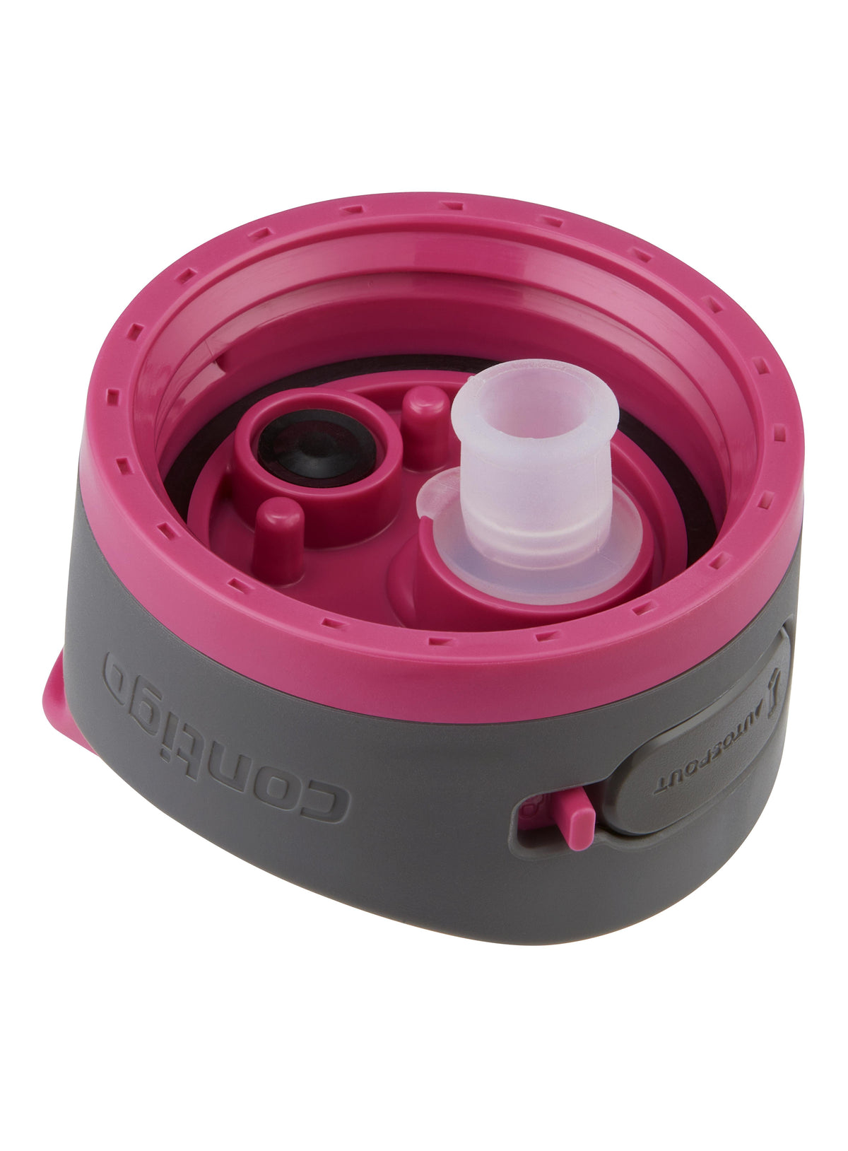 Ashland 2.0 Water Bottle with AUTOSPOUT Lid, 24oz